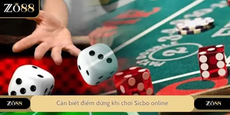 Cần biết điểm dừng khi chơi Sicbo online